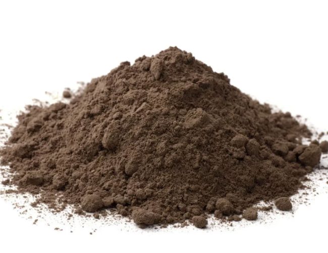 Poudre-de-cacao-alcalinisee-1170x694